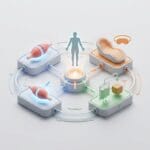 Featured image for Optimizing Post-Workout Recovery Through System Synergy