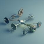 Featured image for How Animal Sensory Perception Shapes Hidden Worlds Around Us