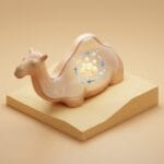 Featured image for The Truth About the Camel Hump Water Myth and Fat Storage