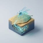 Featured image for How Mosquito DNA Tracking Reveals Hidden Local Biodiversity