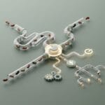 Featured image for How the Benefits of Eating Beans Regularly Impact Your Body