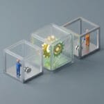 Featured image for How the Prisoner's Dilemma Dictates Human Cooperation