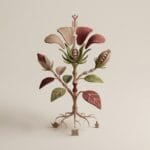Featured image for Hibiscus Botanical Properties and Cultural Significance