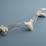 Featured image for How Clavicle Anatomy Functions as the Body's Strategic Strut