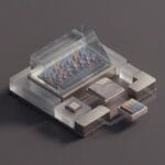 Featured image for How Hardware and Physics Define Camera Image Quality