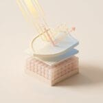 Featured image for How Sunscreen Actually Works to Protect Your Skin