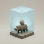 Featured image for Hippo Negative Buoyancy and the Physics of Riverbed Walking